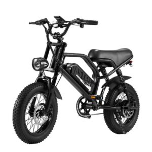 AVDL A13 Vollgefedertes E-Bike