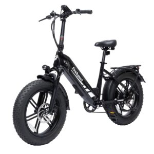Bodywel F20PRO Elektrofahrrad mit 48V18AH-Akku