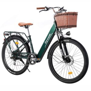 CYSUM Cityrun Elektrofahrrad mit Frontkorb