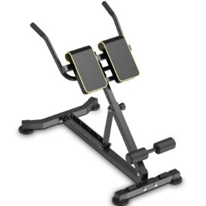 DH FitLife 5in1 verstellbarer Roman Chair