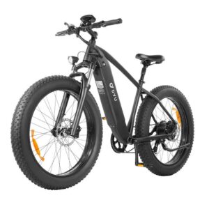 DYU King750 Elektrofahrrad mit herausnehmbarem 48V 20Ah Akku