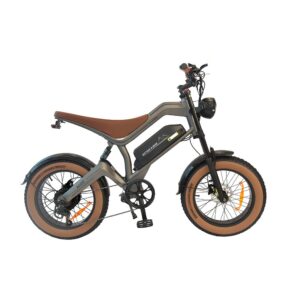 DYU M20 Elektrisches Dirtbike mit 48V 18
