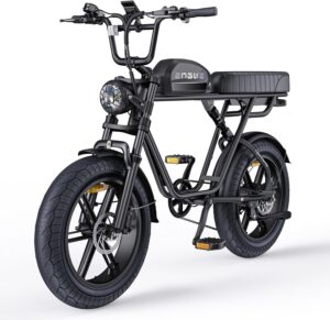 ENGWE M1 20 Zoll Elektro-Dirtbike mit 48 V 15