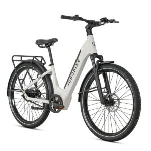 Elektrofahrrad JOBOBIKE Dyno GT 250W 36V 15Ah Akku