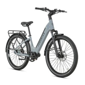 Elektrofahrrad für Erwachsene JOBOBIKE Luxe 250W 36V 15Ah Akku