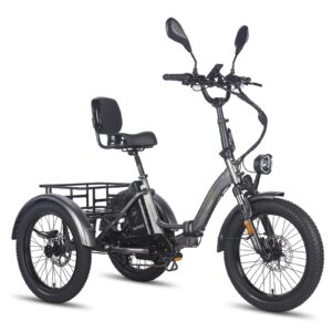 FAFREES F20 Mate Elektrodreirad mit Spiegel und Heckkorb