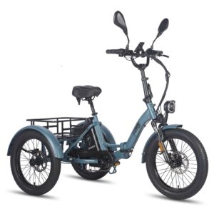Fafrees F20 Mate Elektrisches Lastendreirad mit 48V 21Ah Batterie