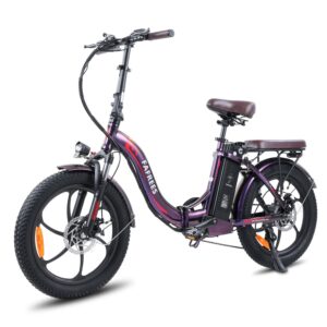 Fafrees F20 Pro Elektro-Citybike mit 36V 18Ah Akku