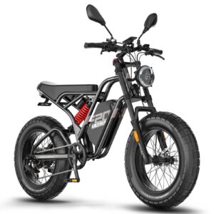 Fafrees F20 Ultra Elektrofahrrad mit 48V 25Ah Akku