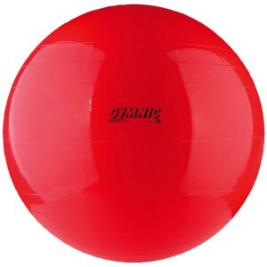Gymnic Fitnessball