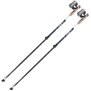 Leki Nordic Walking Stöcke Smart Supreme