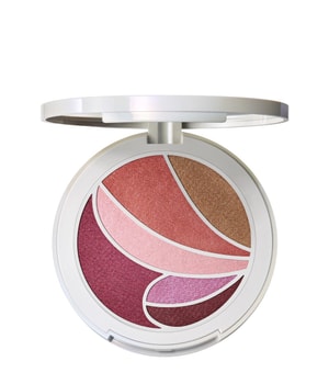 MAC Metamorphosis Spring Collection Metamorphosis Face And Eye Palette Lidschatten Palette