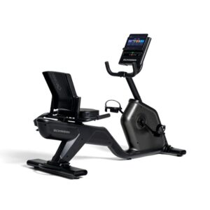 Schwinn Fitness 590R
