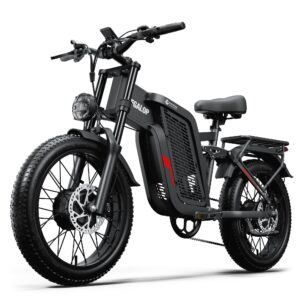 Tifgalop F7 Dual Motor Elektro-Mountainbike mit 52V 24AH Akku