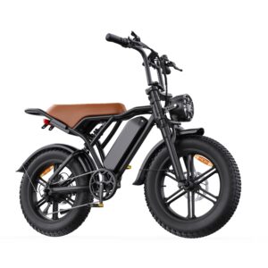 Toofly G20 All-Terrain-E-Bike mit 48V 15