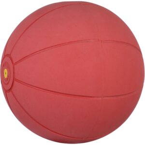 WV Medizinball